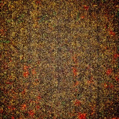 To Dream of Something Better (Run)