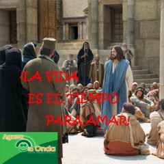 Evangelio de Hoy: 06/03/20-Miércoles 9º Ord.-Ciclo A-Mc 12, 18-27-Jesús mata dos pájaros de un tiro.