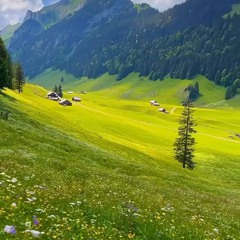 Shahram Solati - Yeh Rize.mp3