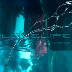 Lovelife (Skelesys Remix)