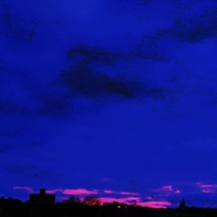Untitled05 05 2022