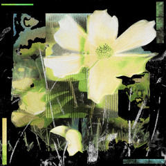 Justin Jay, Bad Boombox - Rosa