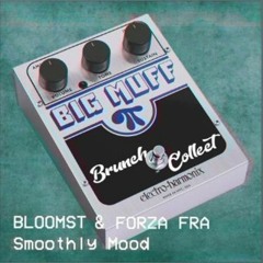B l o m s t & Francesco Balasso - Smoothly Mood