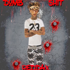 Redd Flyy - Dumb Shit