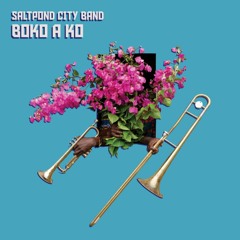 Premiere: Saltpond City Band - Otan