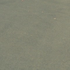 Hate This Stupid Life