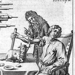 Great Sunshine(2025)