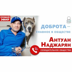 Доброта — Главное В Обществе. Антуан Наджарян ¦ АЛЛАТРА РАДИО LIVE