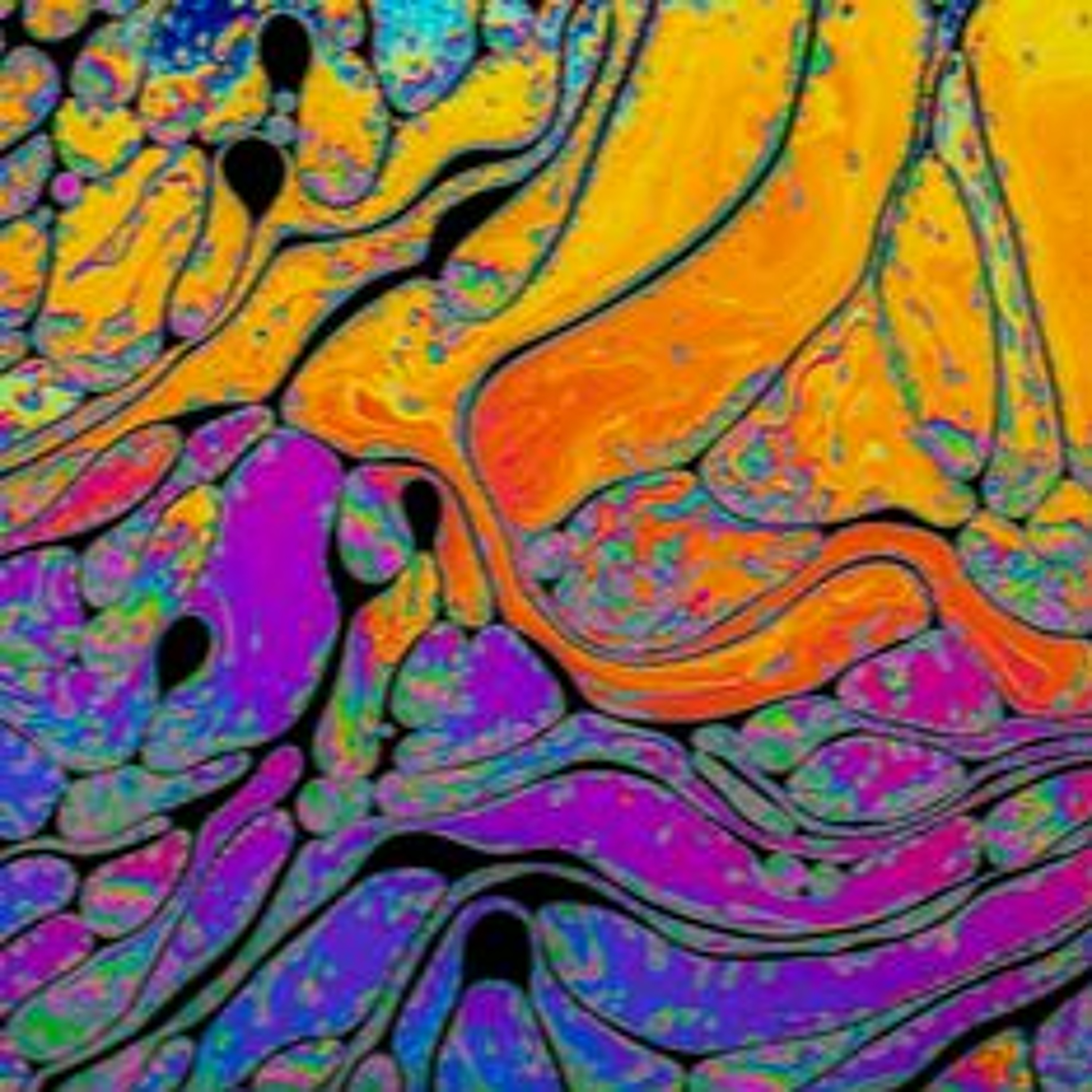 Streams & Soundscapes