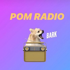 Pom Radio Live! Ep. 8 - Kompakt Records