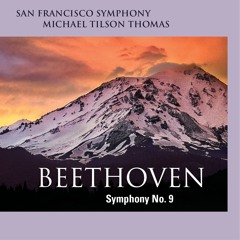 Beethoven: Symphony No. 9 in D Minor, Op. 125: I. Allegro ma non troppo, un poco maestoso