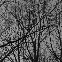 insomnia (farewell pt. 2)