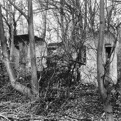Lyrische Luecke - Du Wolltest Gehen