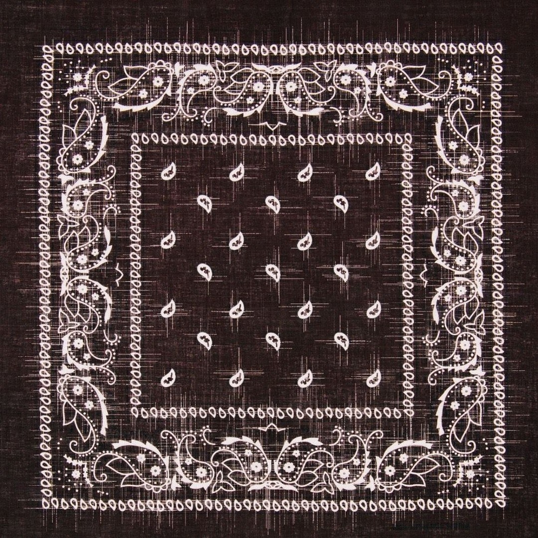 PAISLEY PRINT (prod. Maxmizacion)