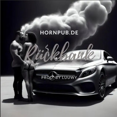Hornpub.de & LUUWY - Rückbank