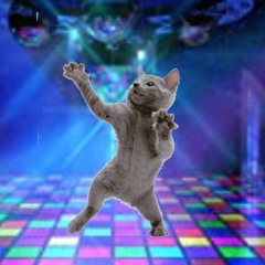 Strutting on the Dance Floor