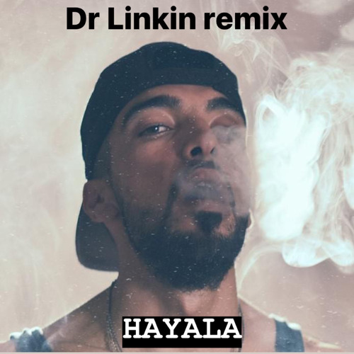 DR Linkin Ft JenJoon Hayala (Live Mix).