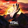 Video herunterladen: VITAL - HOPELESS (OUT NOW)