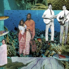 BAILA FOLK - SOUNDS OF SRI LANKA - 101021