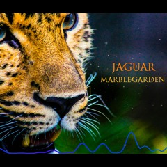 marblegarden - Jaguar