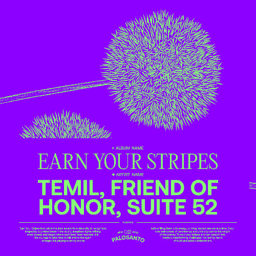 PREMIERE: Temil, Suite 52, Friend of Honor - Earn Your Stripes (Extended Mix) [Palosanto]
