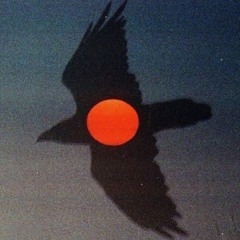 Nights Over Egypt