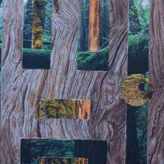 Consanants and Vowels