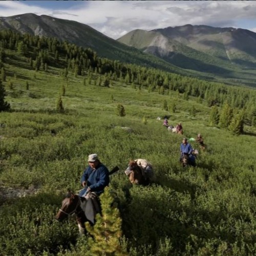 Climate Change and Bear Conservation in Mongolia Come Together in an Award-Winning New Documentary