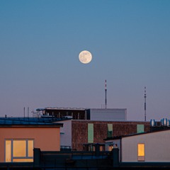 보름달 / Full Moon (Alternate Take)