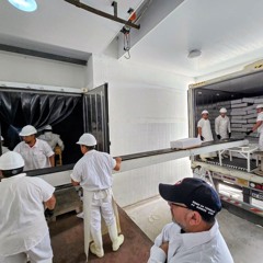 Claudia Miño - Río Negro consolida su perfil exportador: primer envío de carne ovina de la zafra desde la Región Sur