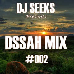 DJ SEEKS - DSSAH MIX #002 (SOULFUL HOUSE MIX)