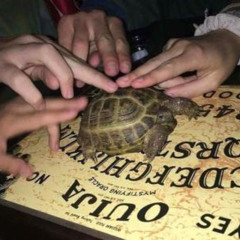 BIGGSOUNDDDDD (clip)