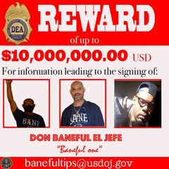 Don Baneful El Jefe