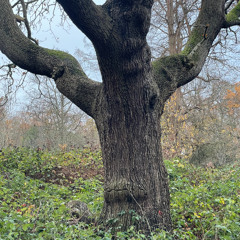 jam man 2026-01-08 1428