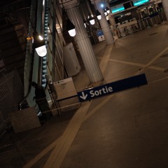 Everybody's Gone To War