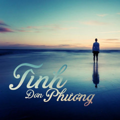 TINH DON PHUONG 3 -  S'FOX REMIX  [FREE DOWNLOAD]