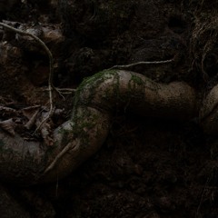 NEMU002 - Vito Gatto: Prologue - The Other Side