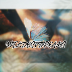 Wildest Dreams (Taylor Swift) (TheSnaccGawd Edition)
