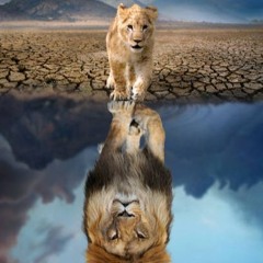 I O N  - Child of jungle