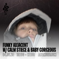 FUNKY ADJACENT With Calm Stiege & Baby Gorgeous - Episode #18 (4.1.24)
