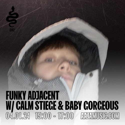 FUNKY ADJACENT With Calm Stiege & Baby Gorgeous - Episode #18 (4.1.24)