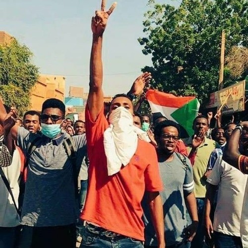 يا شجرَ القلبِ - رايات عبدالرحيم