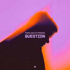 Pierluigi Di Prinzio - Question