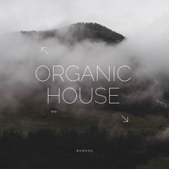 Mesmerizing Organic House: Laid-back Rhythms & Energetic Beats 2023
