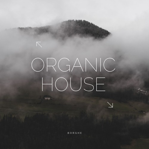 Mesmerizing Organic House: Laid-back Rhythms & Energetic Beats 2023