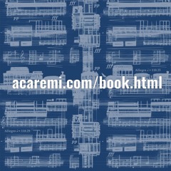 Book Announcement https://acaremi.com/book.html