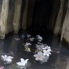 ICARUS-BOUND(prod allweleftunsaid x Mxdness