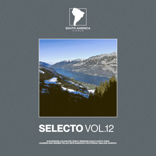 The Walker (Original Mix)