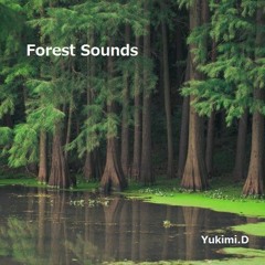 Forest Sounds