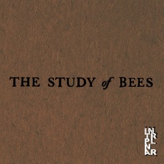 The Study of Bees (Debut Album Release Coming Soon on Spotify + Apple Music)